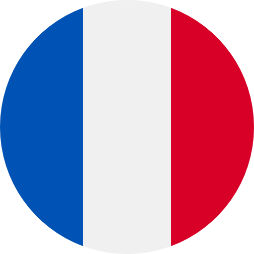 Best French Online Casinos