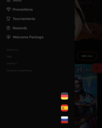 BetMaximus Casino Review Photo 5 BetMaximus Casino Review Photo 5