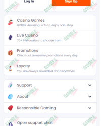 CasinoVibes Review Photo 1 CasinoVibes Review Photo 1