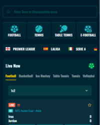 Spinanga Casino Overview 6