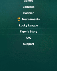 Lucky Tiger Casino Review Image 1 Lucky Tiger Casino Review Image 1