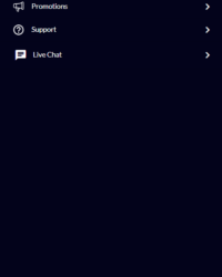 Vegas Wins Casino Review Photo 5 Vegas Wins Casino Review Photo 5