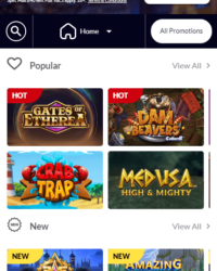 Vegas Wins Casino Review Photo 6 Vegas Wins Casino Review Photo 6