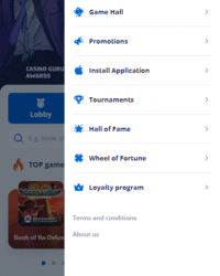 Vulkan Vegas Casino Review Image 2 Vulkan Vegas Casino Review Image 2