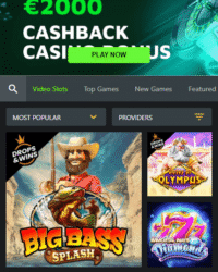 Weltbet Casino Review Photo 1 Weltbet Casino Review Photo 1