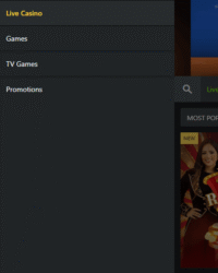 WeltBet Casino Review Photo 5 WeltBet Casino Review Photo 5