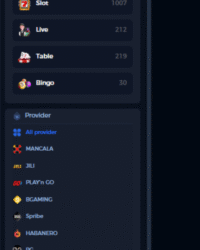 UUNSE Casino Review Image 4