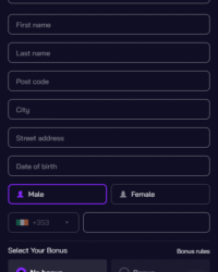 BITFREE Casino Review Image 2 BITFREE Casino Review Image 2