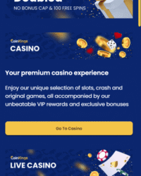 CoinKings Casino Review Image 3 CoinKings Casino Review Image 3