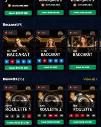 HighRoller Casino Review Image 5 HighRoller Casino Review Image 5