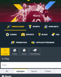 PIWI247 Casino Review Image 1 PIWI247 Casino Review Image 1