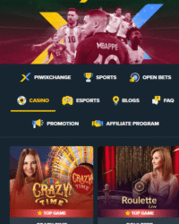 PIWI247 Casino Review Image 4 PIWI247 Casino Review Image 4