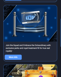 Reels of Joy Casino Review Image 5 Reels of Joy Casino Review Image 5