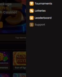 Triumph Casino Review Image 4 Triumph Casino Review Image 4