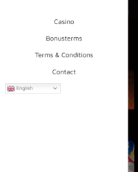 VikingSpin Casino Review Image 3 VikingSpin Casino Review Image 3