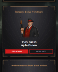 Windetta Casino Review Image 1 Windetta Casino Review Image 1