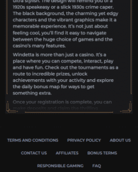 Windetta Casino Review Image 2 Windetta Casino Review Image 2