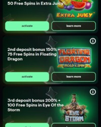 Amerio.bet Casino Review Image 5