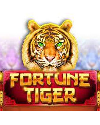 Fortune Tiger Review Image 1 Fortune Tiger Review Image 1