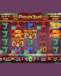 Fortune Tiger Review Image 3 Fortune Tiger Review Image 3