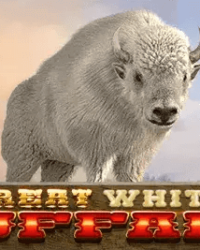 Great White Buffalo Slot Game Image 2 Great White Buffalo Slot Game Image 2