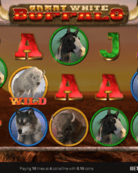 Great White Buffalo Slot Game Image 3 Great White Buffalo Slot Game Image 3