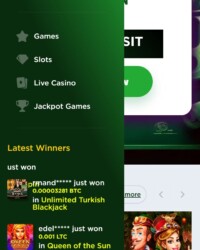LuckyBud Casino Review Image 3 LuckyBud Casino Review Image 3
