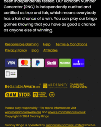 Swanky Bingo Casino Image 2 Swanky Bingo Casino Image 2