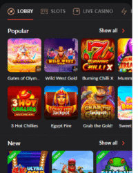 1Go Casino Review Image 1 1Go Casino Review Image 1