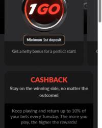 1Go Casino Review Image 4 1Go Casino Review Image 4