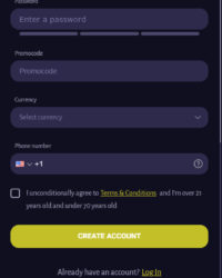 BetSloty Casino Review Image 2 BetSloty Casino Review Image 2
