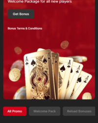 Betspins Casino Review Image 4