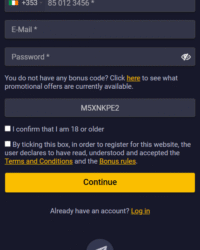 HornetBet Casino Review Image 2 HornetBet Casino Review Image 2