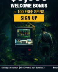 Island Reels Casino Image 1 Island Reels Casino Image 1