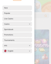 Maxxwin Casino Review Image 3 Maxxwin Casino Review Image 3
