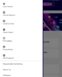 Playouwin Casino Image 9 Playouwin Casino Image 9