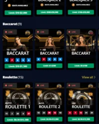 HighRoller Casino Review Image 5 HighRoller Casino Review Image 5