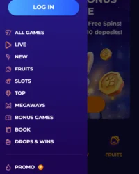 CorgiSlot Casino Review Image 3 CorgiSlot Casino Review Image 3