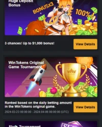 WinTokens Casino Review Image 4 WinTokens Casino Review Image 4