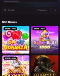 Playbet.io Casino Review Image 5